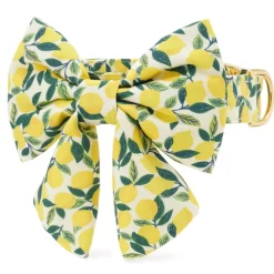 Sale The Foggy Dog Lemon Zest Lady Bow Collar