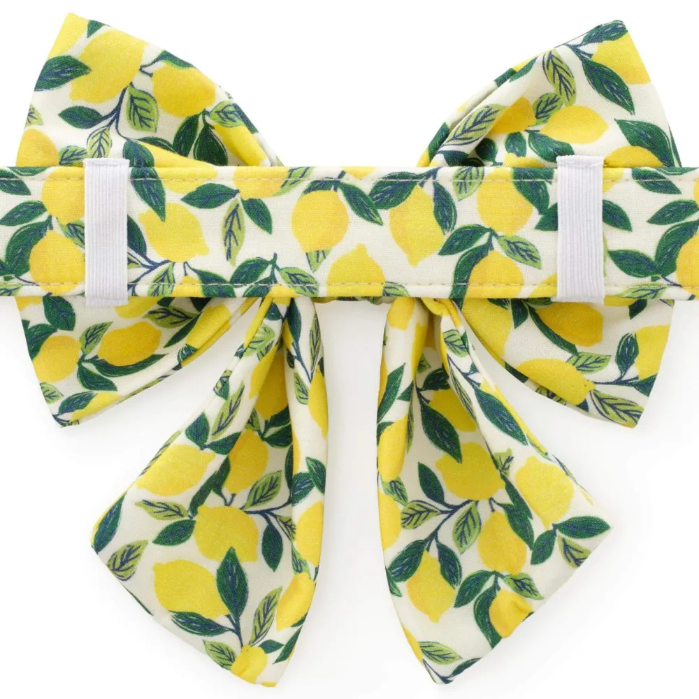 Hot The Foggy Dog Lemon Zest Lady Dog Bow