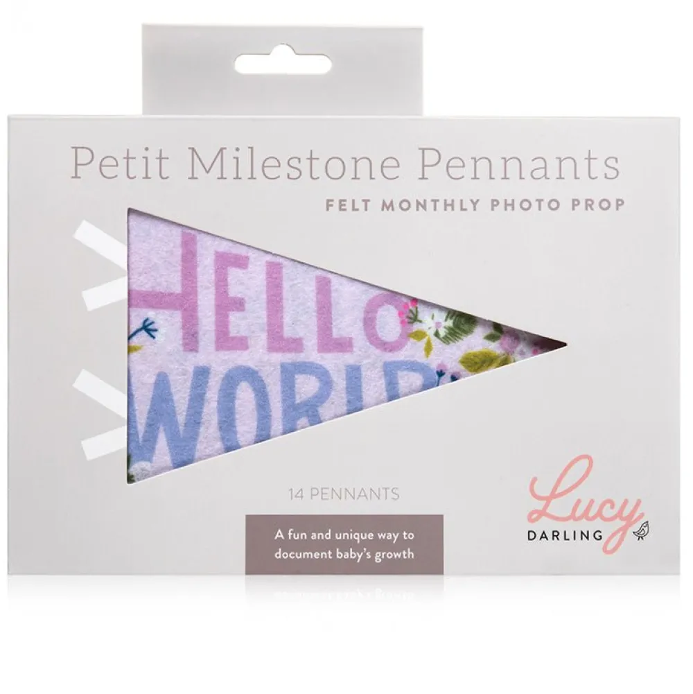 Sale Lucy Darling Little Artist Petit Milestone Pennants