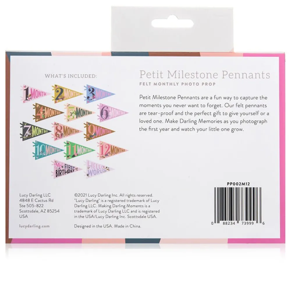 Sale Lucy Darling Little Artist Petit Milestone Pennants
