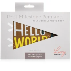 Lucy Darling Little Camper Petit Milestone Pennants