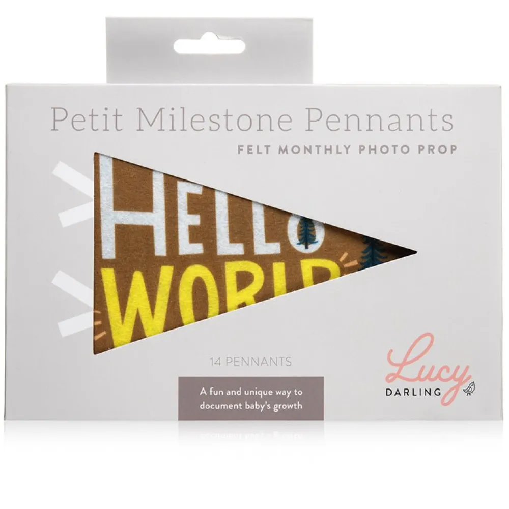 Lucy Darling Little Camper Petit Milestone Pennants