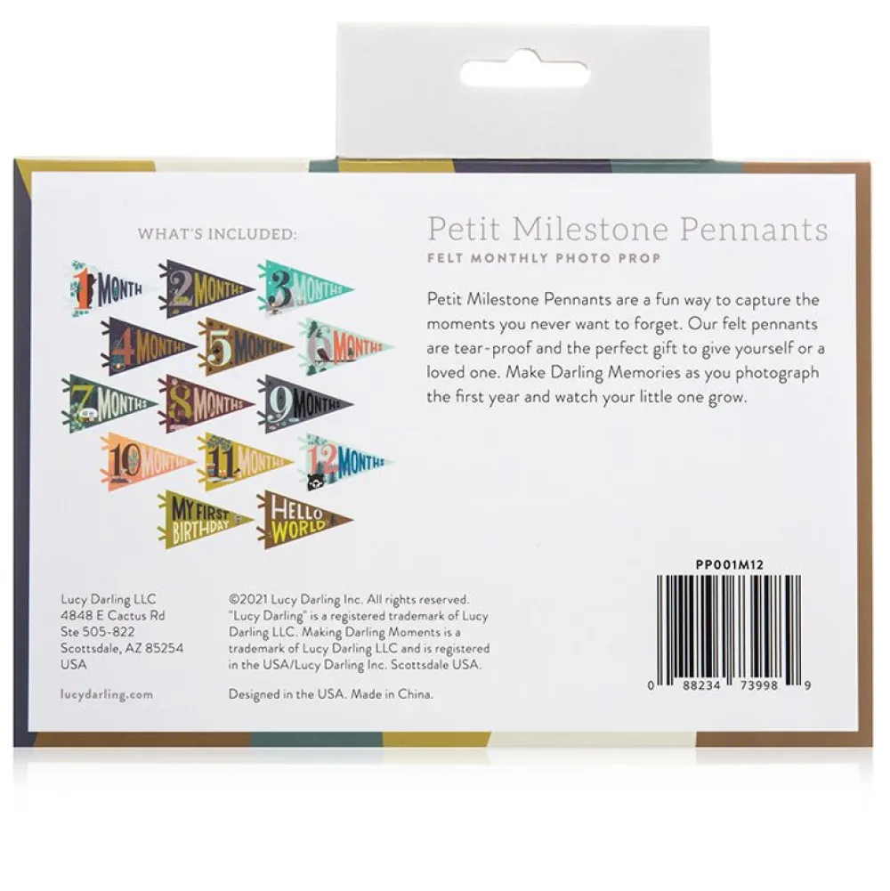 Lucy Darling Little Camper Petit Milestone Pennants