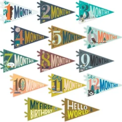 Lucy Darling Little Camper Petit Milestone Pennants