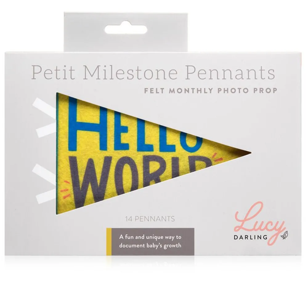 Best Lucy Darling Little Kaleidoscope Petit Milestone Pennants