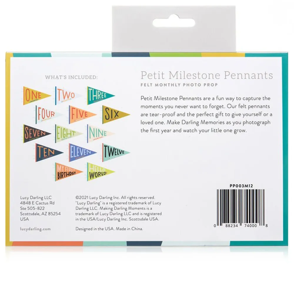 Best Lucy Darling Little Kaleidoscope Petit Milestone Pennants