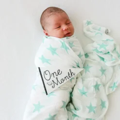 New Lucy Darling Little Stargazer Petit Milestone Pennants