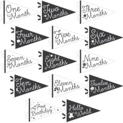 New Lucy Darling Little Stargazer Petit Milestone Pennants
