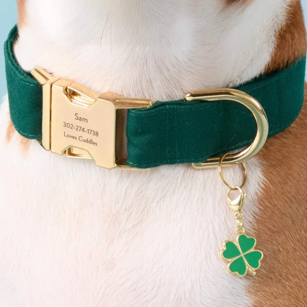 Discount The Foggy Dog Lucky Clover Collar Charm