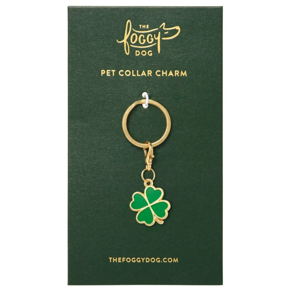 The Foggy Dog Lucky Rainbow Collar Charm Set