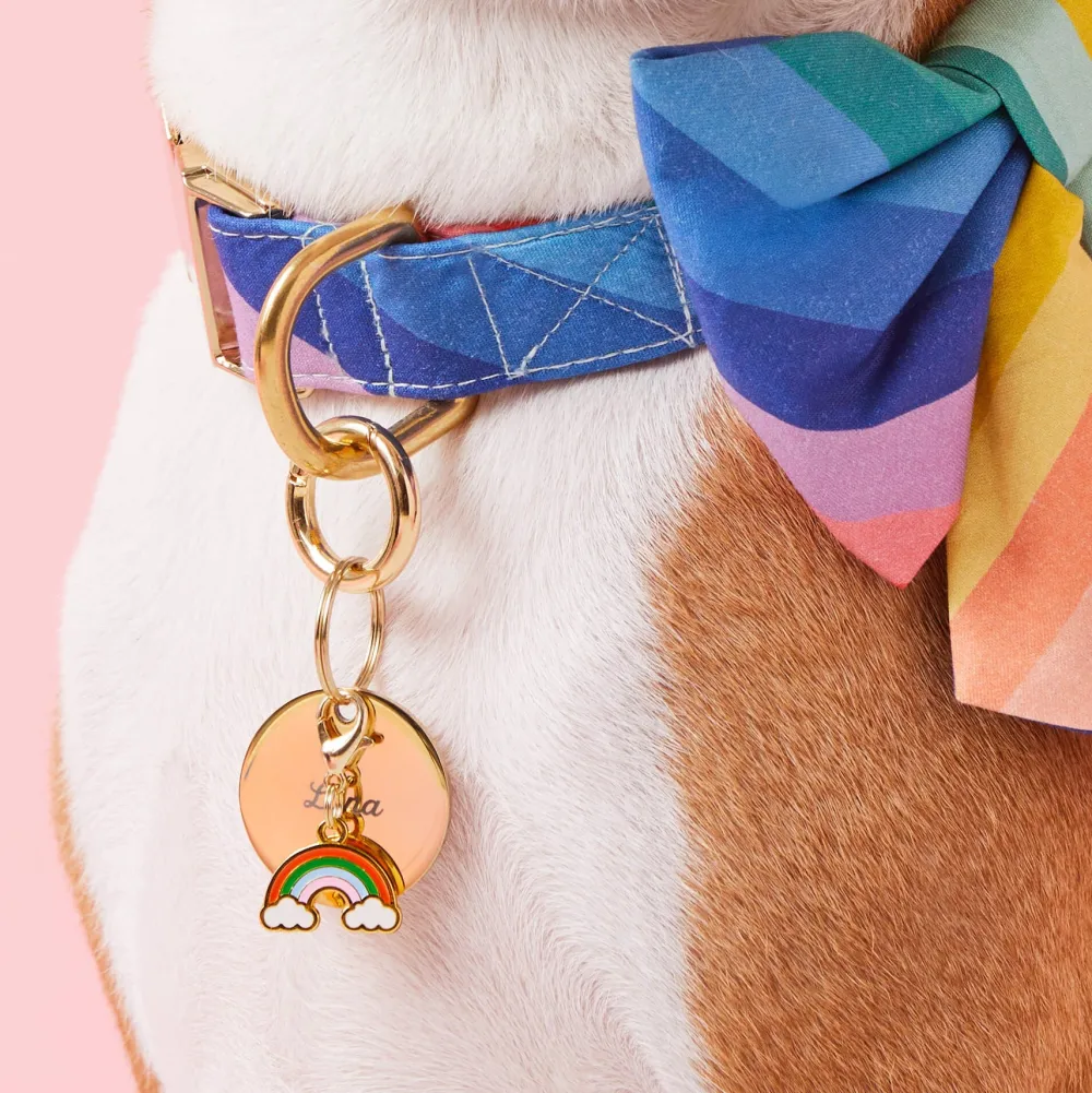 The Foggy Dog Lucky Rainbow Collar Charm Set