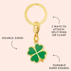 The Foggy Dog Lucky Rainbow Collar Charm Set