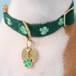 The Foggy Dog Lucky Rainbow Collar Charm Set