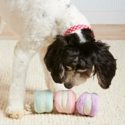 New The Foggy Dog Macarons Interactive Snuffle Dog Toy