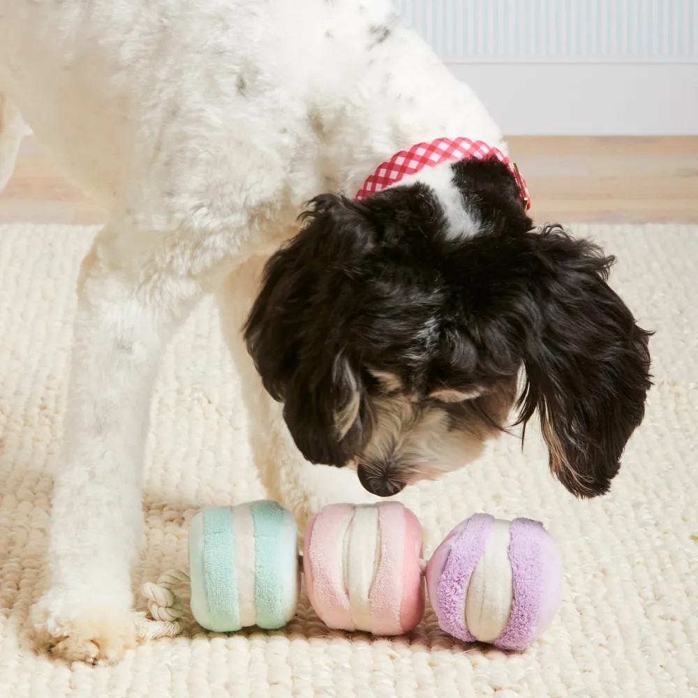 New The Foggy Dog Macarons Interactive Snuffle Dog Toy