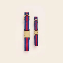Outlet The Foggy Dog Mariner Striped Webbing Dog Collar