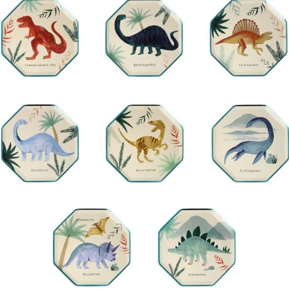 Clearance Meri Meri Medium Dinosaur Plates