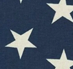 Clearance The Foggy Dog Navy Stars Dog Squeaky Toy