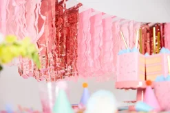 Hot Packed Party Pretty in Pink Fringe Canopy Banners (Set of 2)