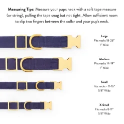 Discount The Foggy Dog Printfresh x TFD Lobster Landing Collar Walk Set
