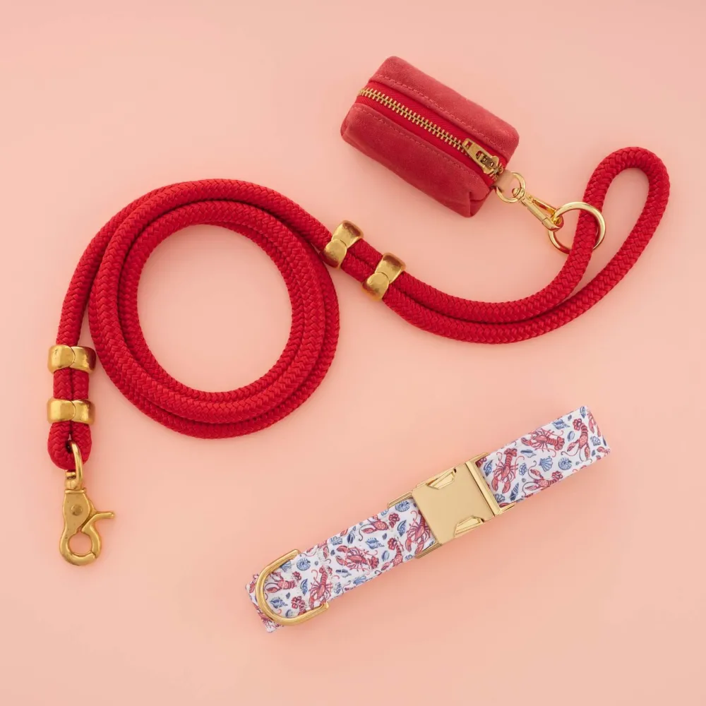 Discount The Foggy Dog Printfresh x TFD Lobster Landing Collar Walk Set