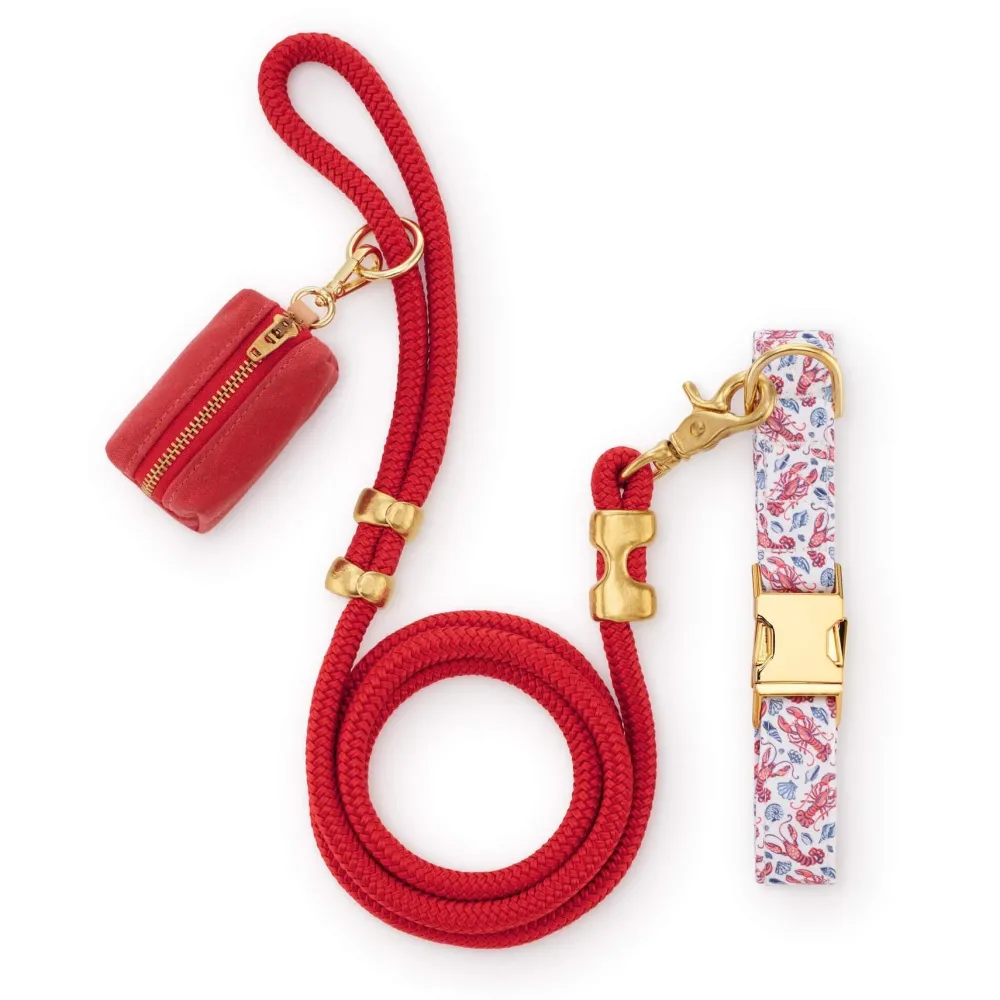 Discount The Foggy Dog Printfresh x TFD Lobster Landing Collar Walk Set