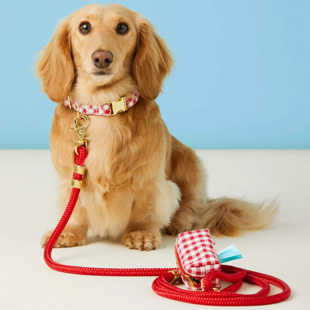 Sale The Foggy Dog Red Gingham Collar Walk Set