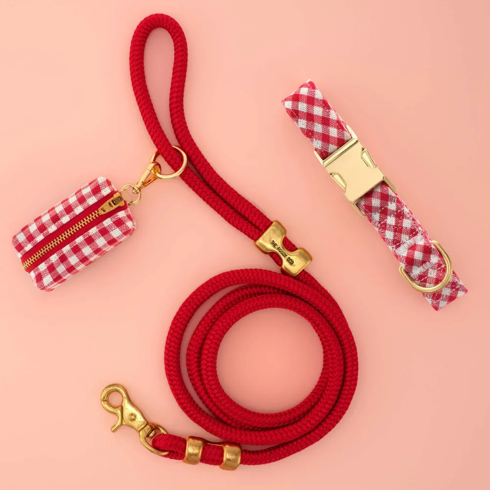 Sale The Foggy Dog Red Gingham Collar Walk Set