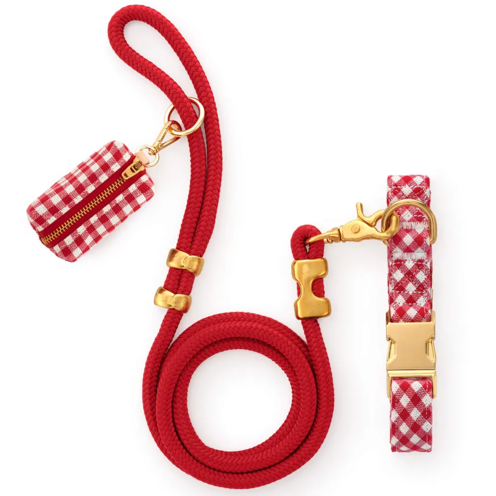 Sale The Foggy Dog Red Gingham Collar Walk Set