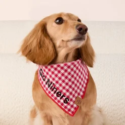 Discount The Foggy Dog Red Gingham Dog Bandana