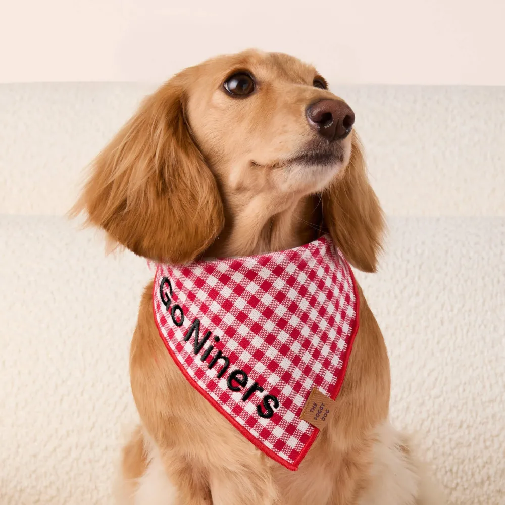 Discount The Foggy Dog Red Gingham Dog Bandana
