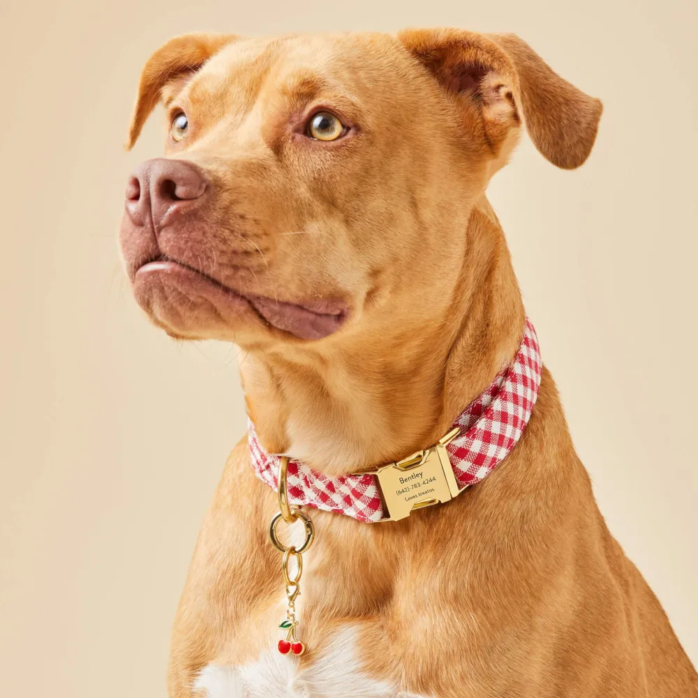 Online The Foggy Dog Red Gingham Dog Collar