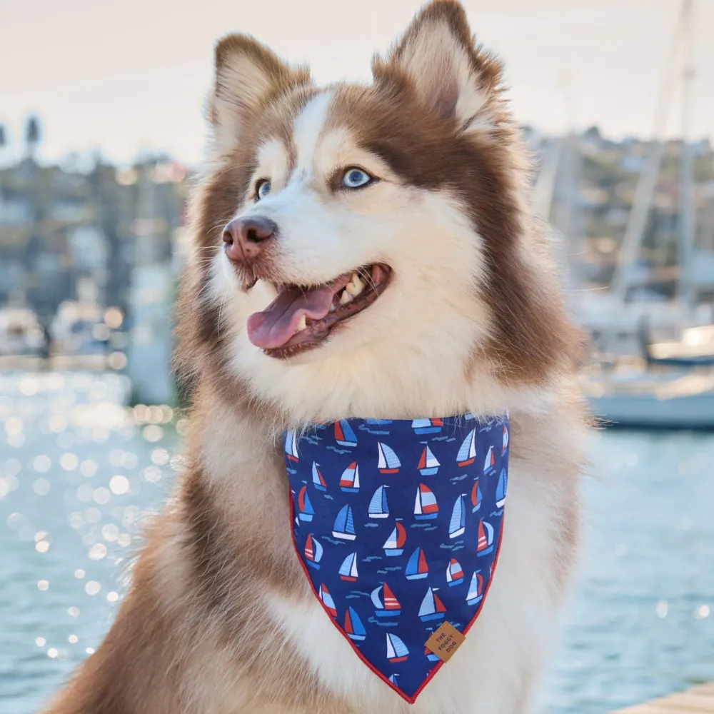Clearance The Foggy Dog Regatta Dog Bandana