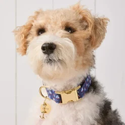 Clearance The Foggy Dog Regatta Dog Collar