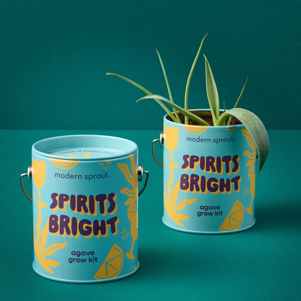 Outlet Modern Sprout Seasonal Complimentary Colors Grow Kits