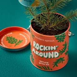 Outlet Modern Sprout Seasonal Complimentary Colors Grow Kits