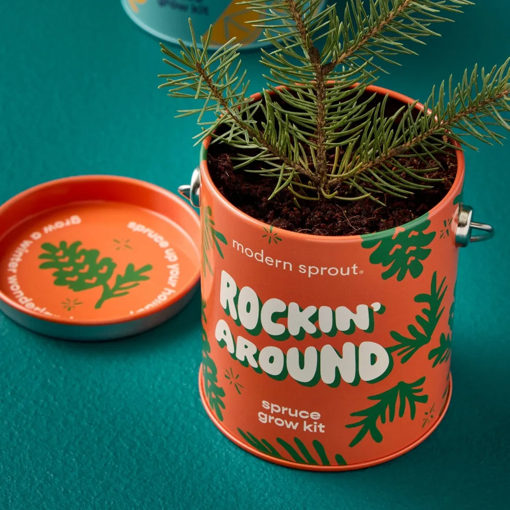 Outlet Modern Sprout Seasonal Complimentary Colors Grow Kits
