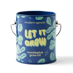 Outlet Modern Sprout Seasonal Complimentary Colors Grow Kits
