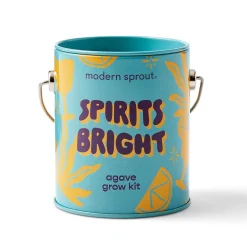 Outlet Modern Sprout Seasonal Complimentary Colors Grow Kits