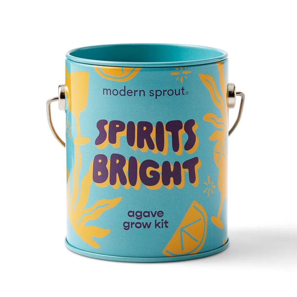 Outlet Modern Sprout Seasonal Complimentary Colors Grow Kits