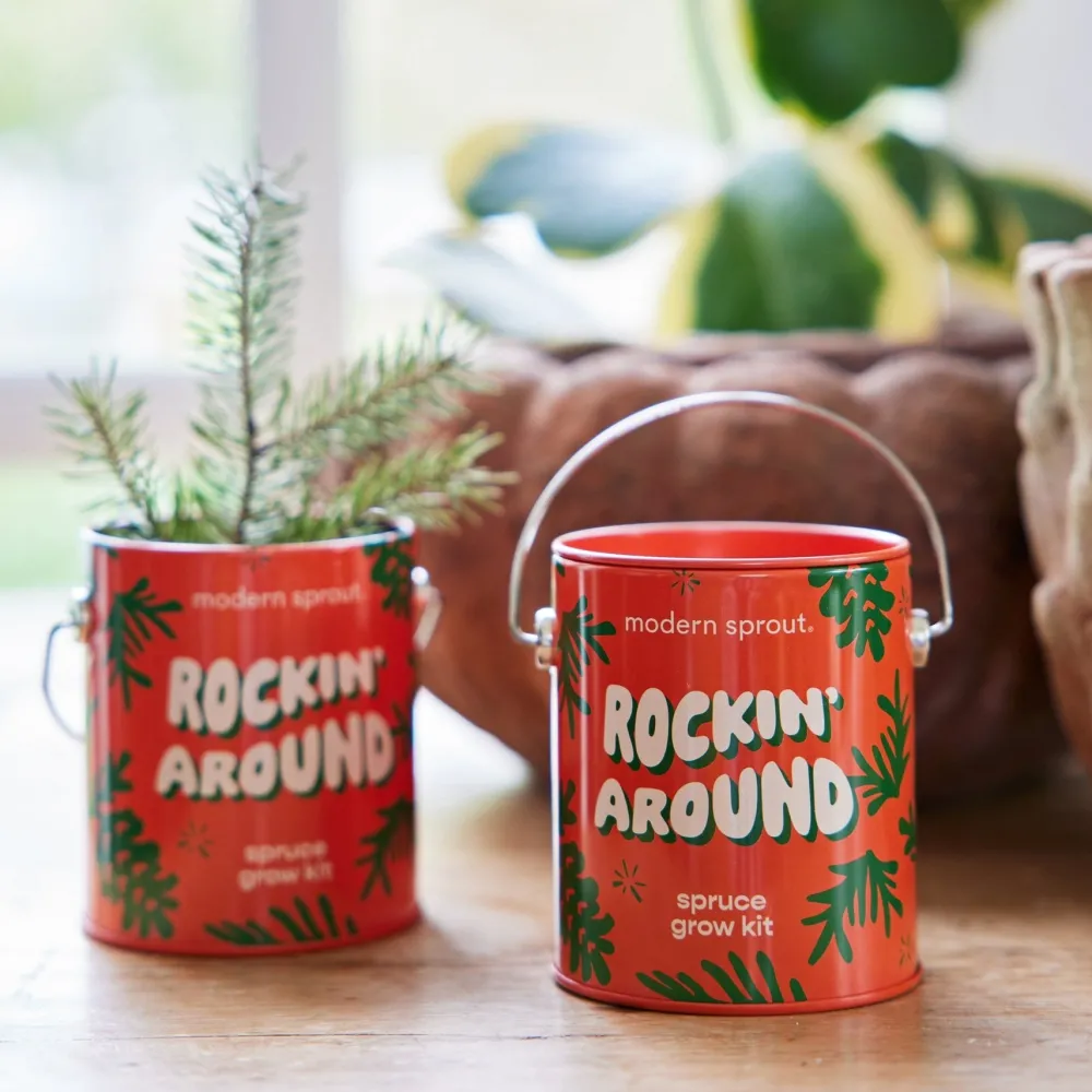 Outlet Modern Sprout Seasonal Complimentary Colors Grow Kits
