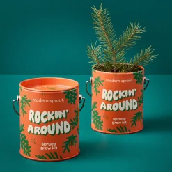 Outlet Modern Sprout Seasonal Complimentary Colors Grow Kits