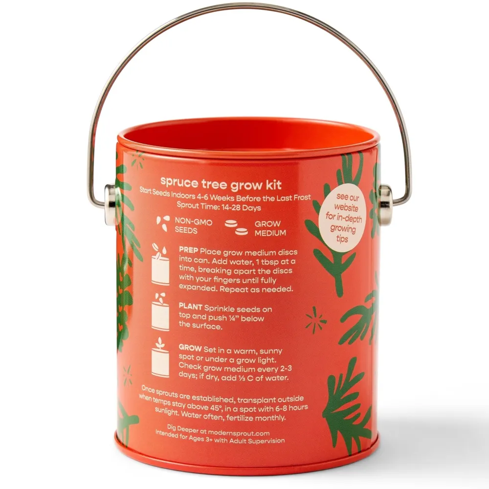 Outlet Modern Sprout Seasonal Complimentary Colors Grow Kits