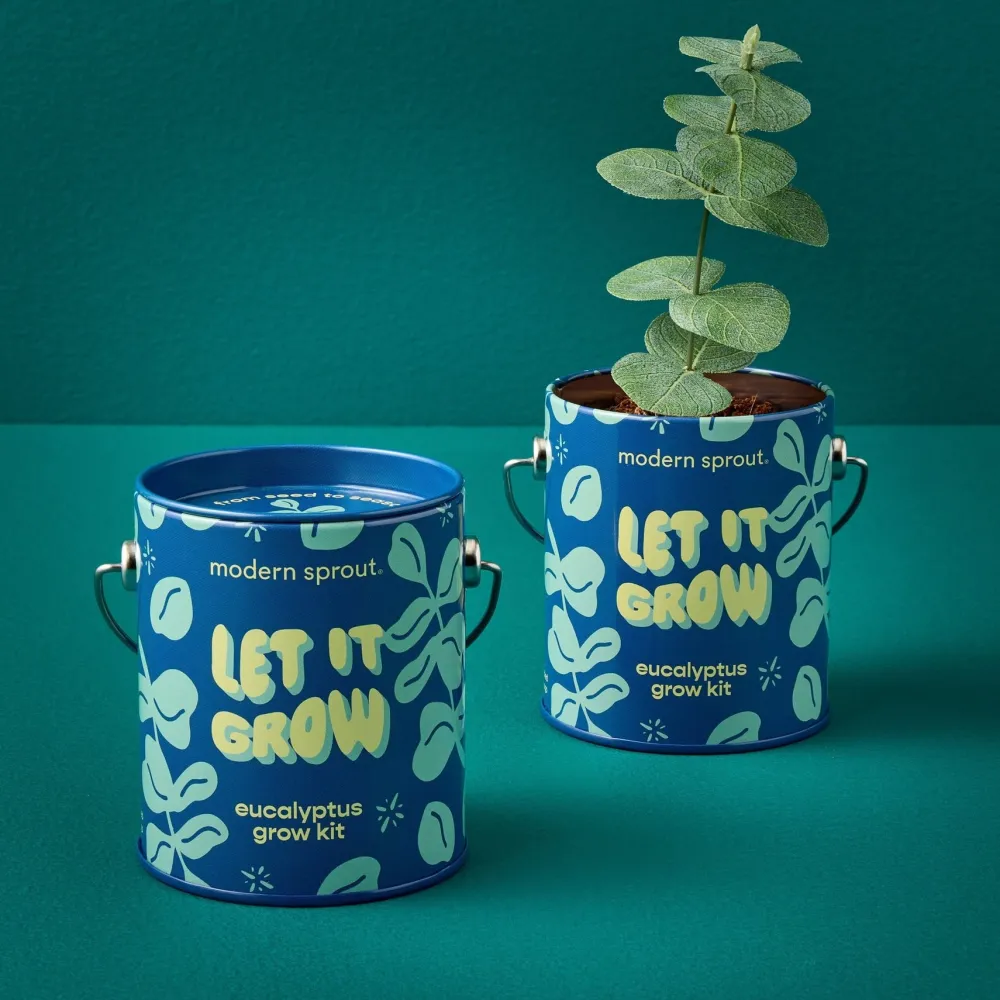 Outlet Modern Sprout Seasonal Complimentary Colors Grow Kits