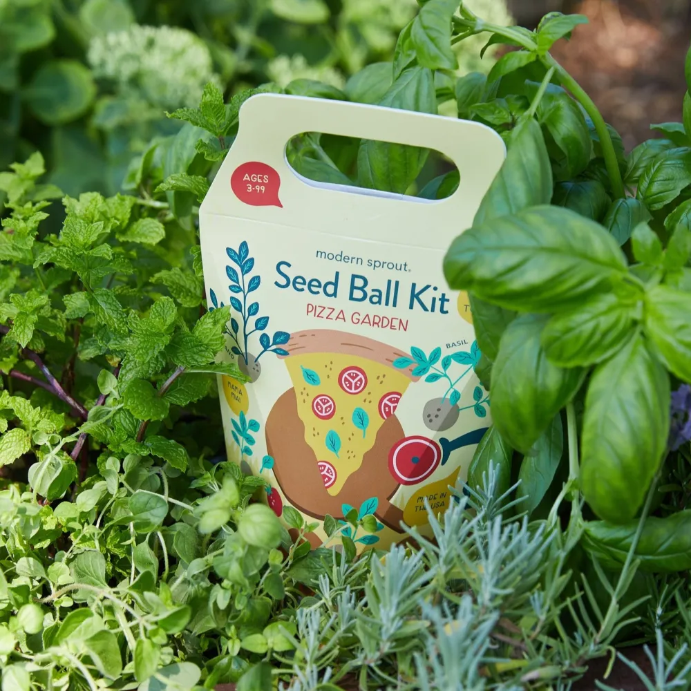 New Modern Sprout Seed Ball Kit