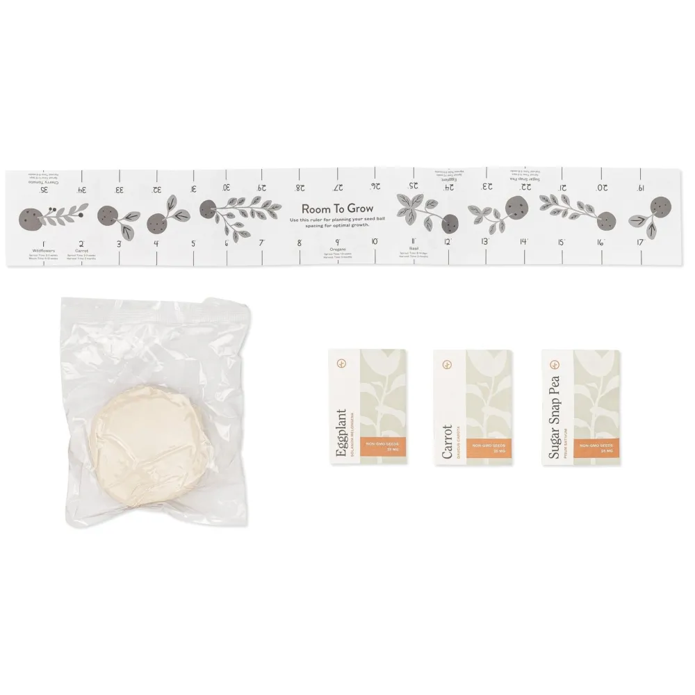 New Modern Sprout Seed Ball Kit