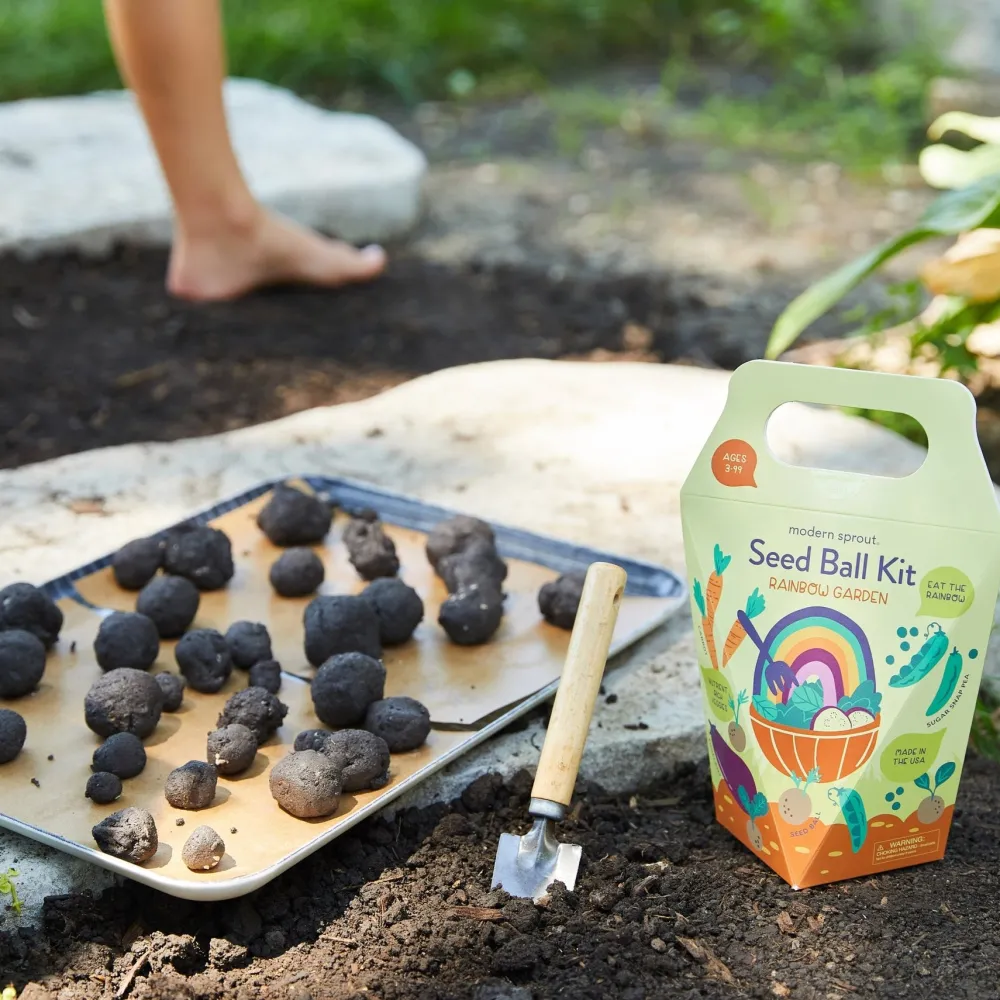 New Modern Sprout Seed Ball Kit