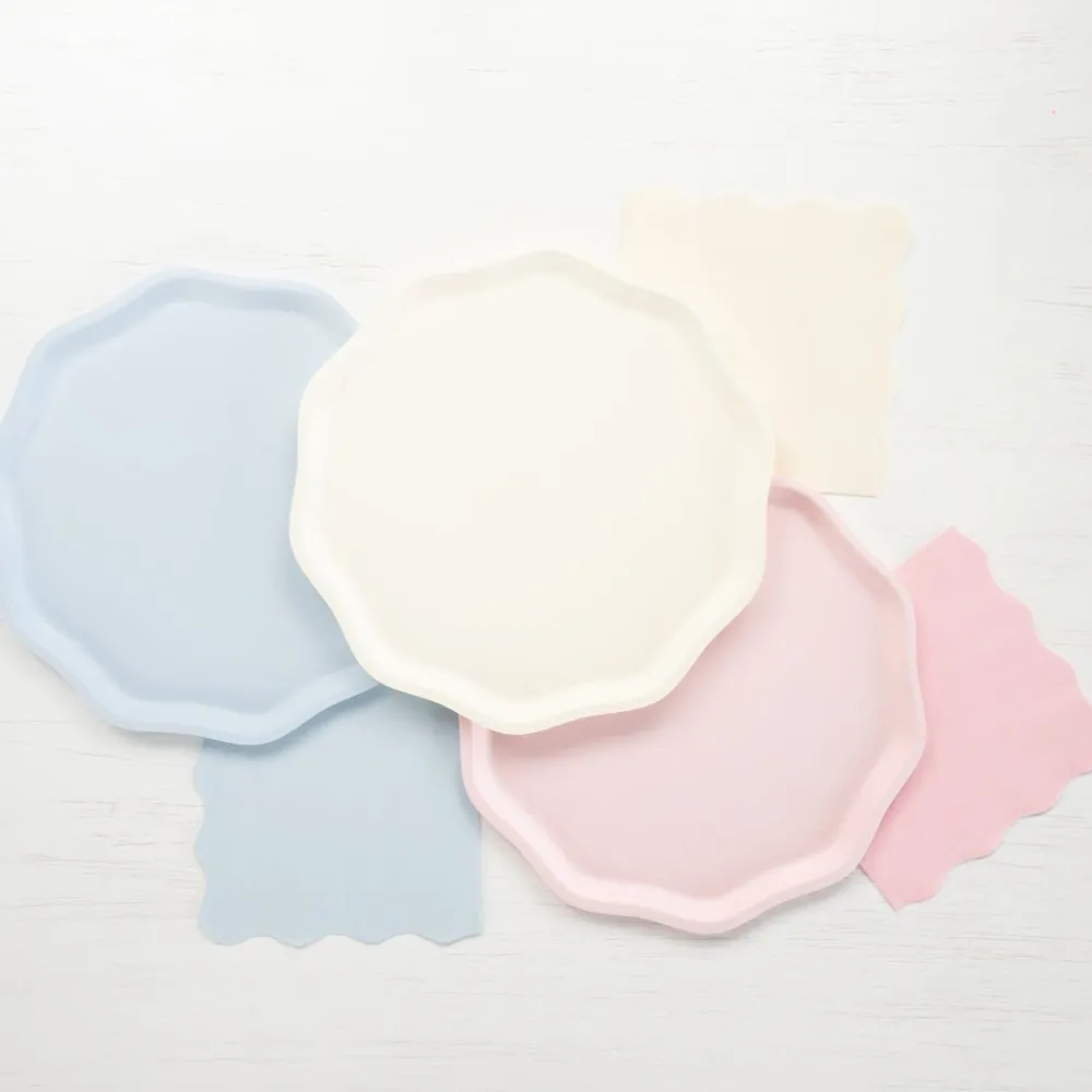 Hot Bonjour Fete Sky Blue Compostable Dinner Plates
