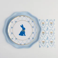 Hot Bonjour Fete Sky Blue Compostable Dinner Plates