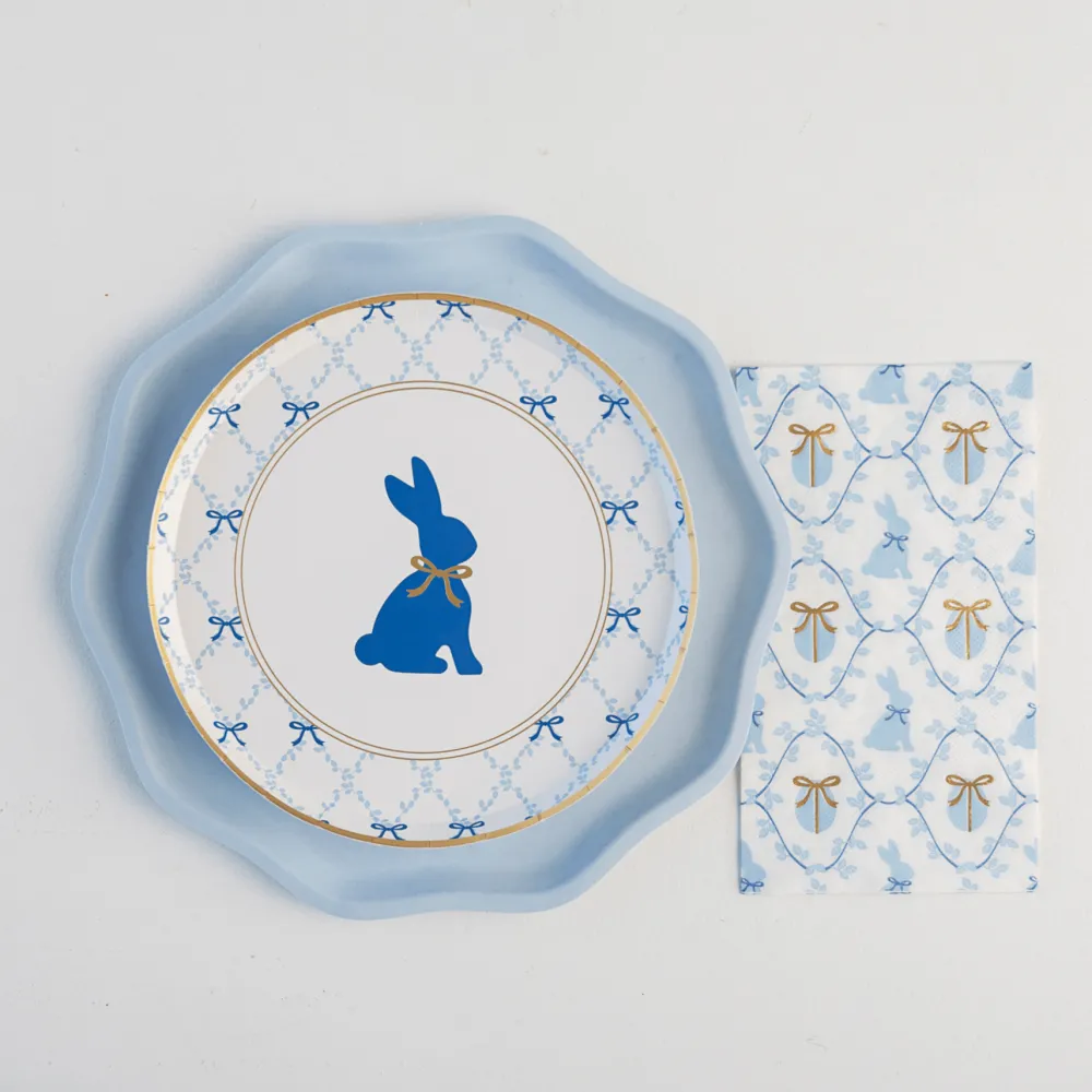 Hot Bonjour Fete Sky Blue Compostable Dinner Plates